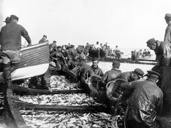 Fiskare med sin fångst, c.1890